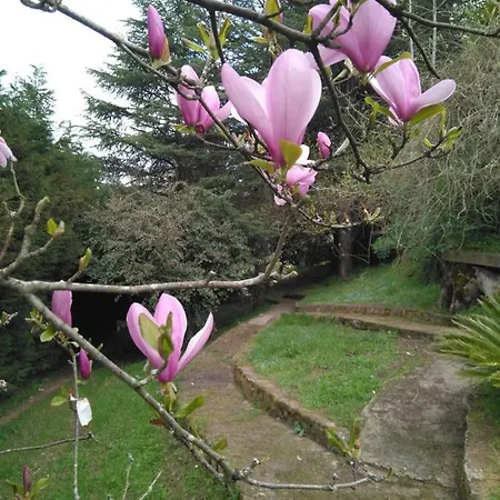 Сasa de vacaciones Palacete Peñanora *